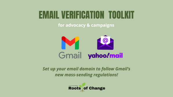 Email Domain Verification Toolkit